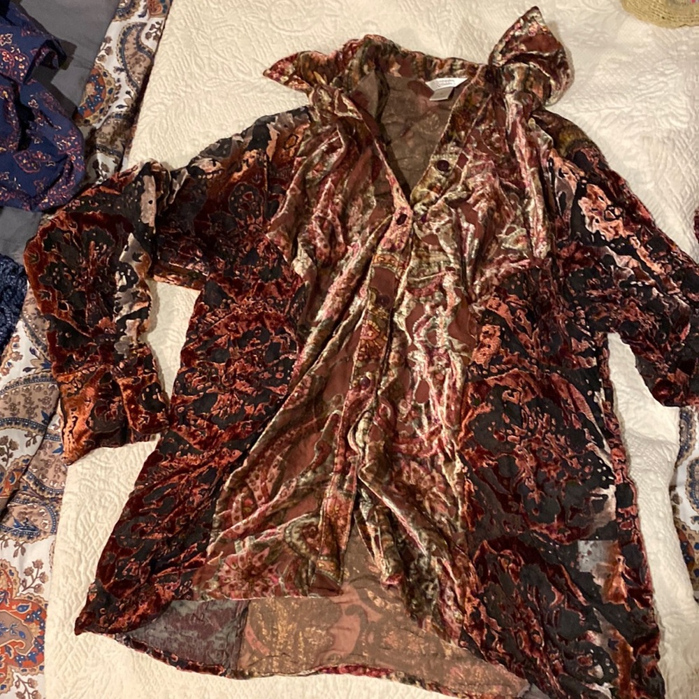 🦋 5 for $25🦋 vampiric Whimsigothic velvet panel romantic colored button blouse